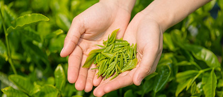 天福茗茶：生产到销售终端全面数字化